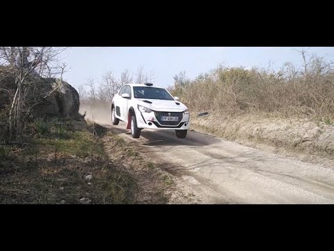Pedro Almeida/Hugo Magalhães | Peugeot 208 Rally 4 | Test Day | Luílhas/Lagoa
