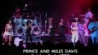 Omnibus | Bandmates on Prince