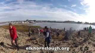 preview picture of video 'Time Lapse Dune Restoration at Moss Landing State Beach #3'