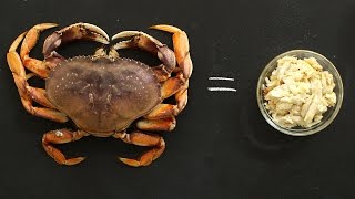 How to Break Down Fresh Crab Like a Pro - Kitchen Conundrums with Thomas Joseph