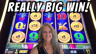 Really BIG WIN on Peace & Long Life   #slots #casino #slotmachine Video Video