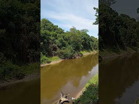 Colonia Pastoril Formosa 🇦🇷