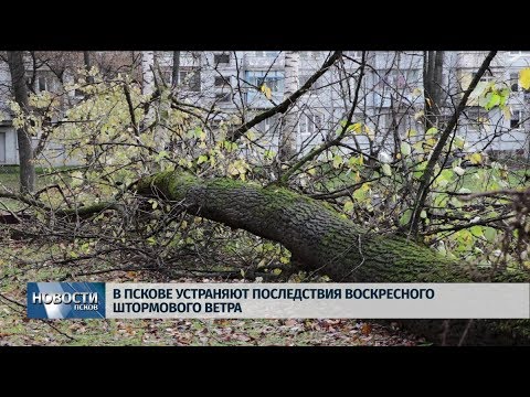 28.10.2019 / В Пскове устраняют последствия штормового ветра