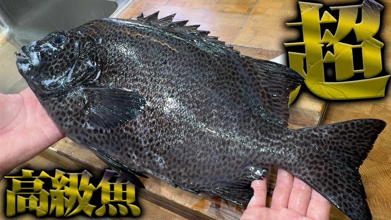 包丁が入らないくらい脂の乗った高級魚をしゃぶしゃぶにした結果…