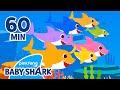 Baby Shark Doo Doo Doo 1 hour | +Compilation | More and More | Baby Shark Official