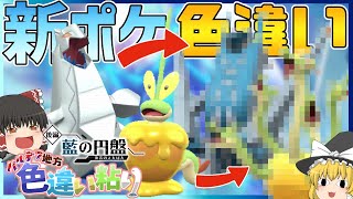 藍の円盤配信！新ポケ二匹の色違い粘り！【ポケモンSV】【ゆっくり実況】