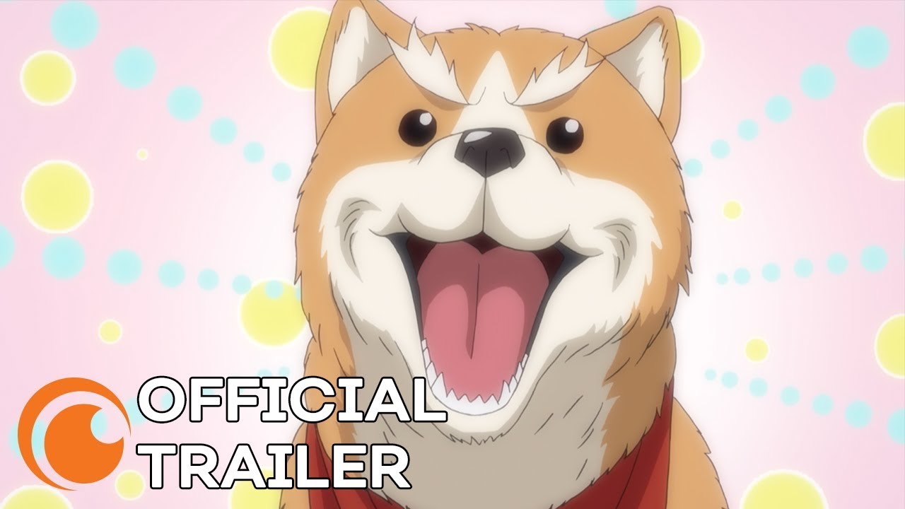 Oda Cinnamon Nobunaga | OFFICIAL TRAILER