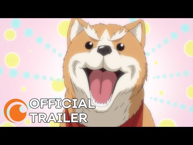 Oda Cinnamon Nobunaga | OFFICIAL TRAILER