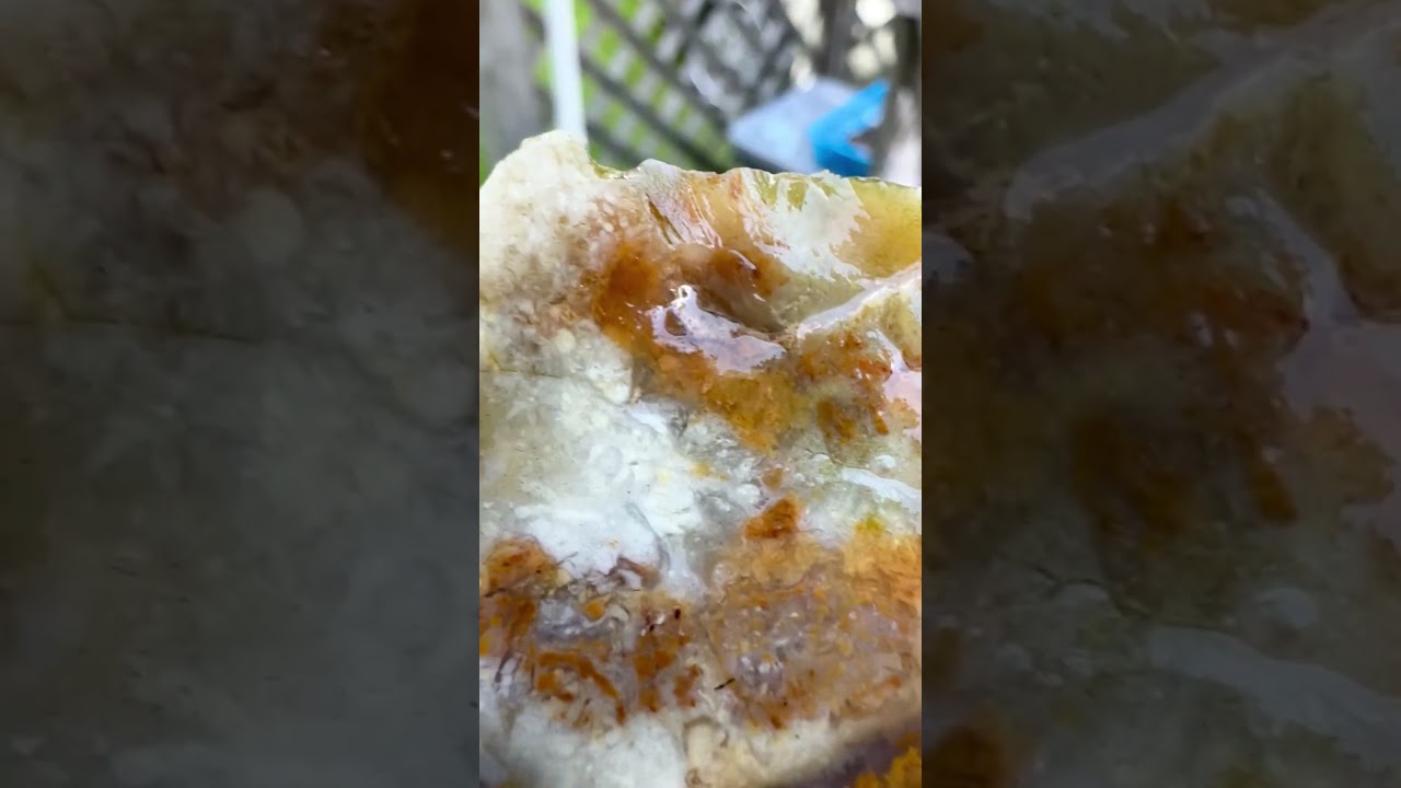 Savannah River Agate #2