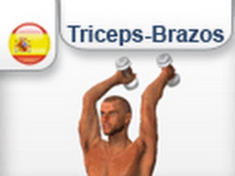 Tríceps Francês, Catálogo de Exercícios