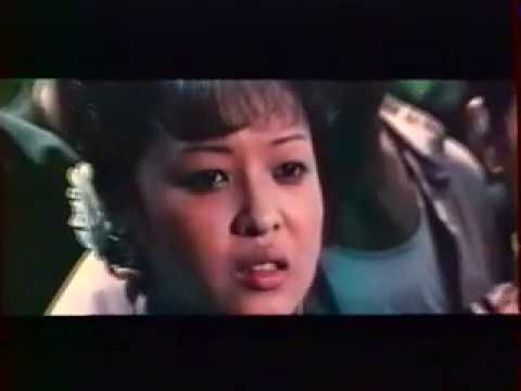 Chen le tigre invincible