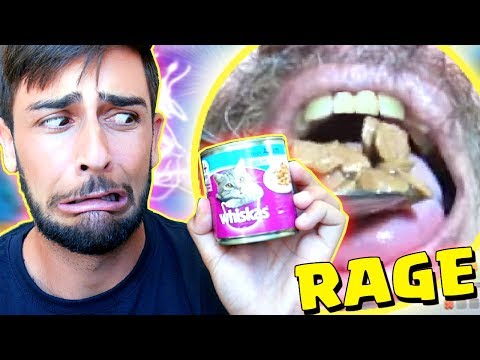 DESAFIEI UM STREAMER NO CLASH ROYALE (QUEM PERDER COME COMIDA DE GATO)