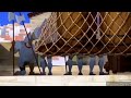 The Road To El Dorado YD Style Part 3 Running From A Bull Audience With Vulture