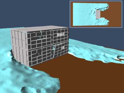 自然なプライバシー スクリーンを再現したい場合、死んだトゥジャを何で置き換えることができますか?あなたのための5つのオプション  庭園