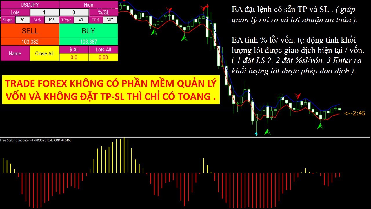 EA tính toán thua tối đa % cho phép trước khi vào lệnh đặt sẵn TP SL