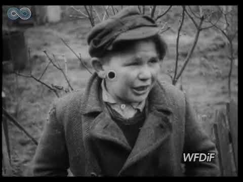 Kronika filmowa 1946 - bimber