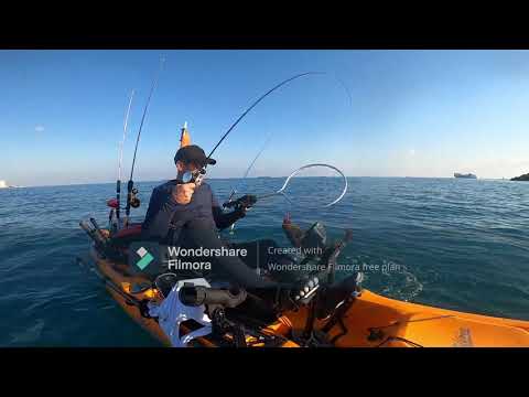 תפיסת לוקוס 7 7 2021