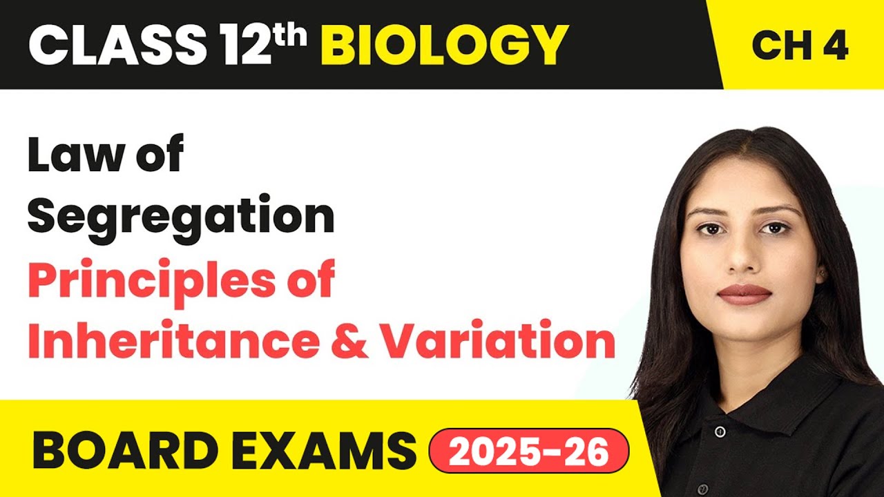 Law of Segregation - Principles of Inheritance and Variation | Class 12 Biology Ch 4 | CBSE 2024-25