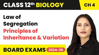 Law of Segregation - Principles of Inheritance and Variation | Class 12 Biology Ch 4 | CBSE 2024-25