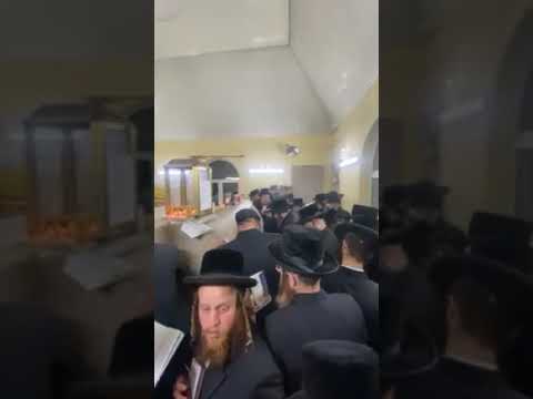 Pittsburgh Rebbe Visits Kever Of His Ancestor R' Mordechai of Nadvorna In Bishtanie - Av 5783