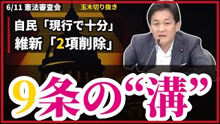 【玉木雄一郎】自民と維新で割れる“9条” 自衛隊の定義を問う #憲法審査会 #国民民主党