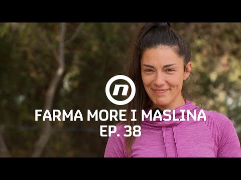 Rodila se ljubav? - Epizoda 38 | Farma More i Maslina