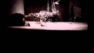 Helado Negro - Lechuguilla