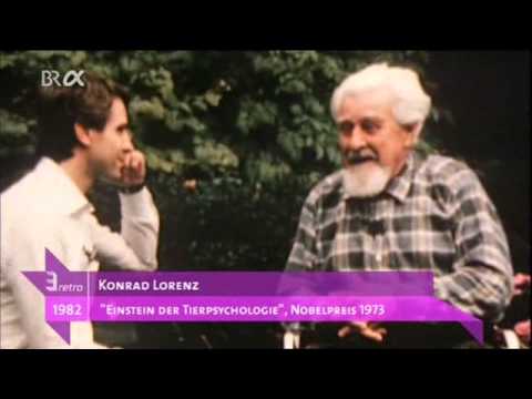 Video-Thumbnail von YouTube