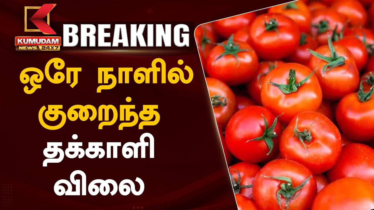 ஒரே நாளில் கிடுகிடுவென குறைந்த தக்காளி