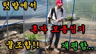 혼자서 모종을 심을때 최고쉽고 간편한 조합입니다