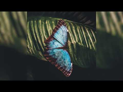 Joseph Goldstein – Insight Hour – Ep. 49 – The Radical Truth of Impermanence