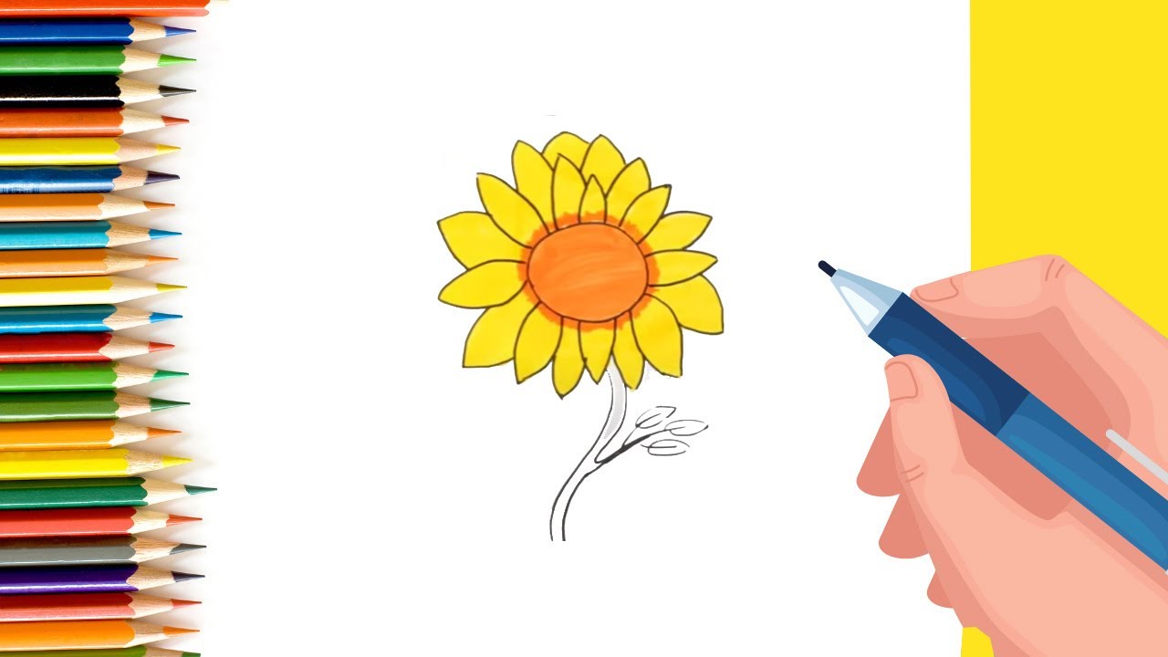How to draw a Sunflower easily
