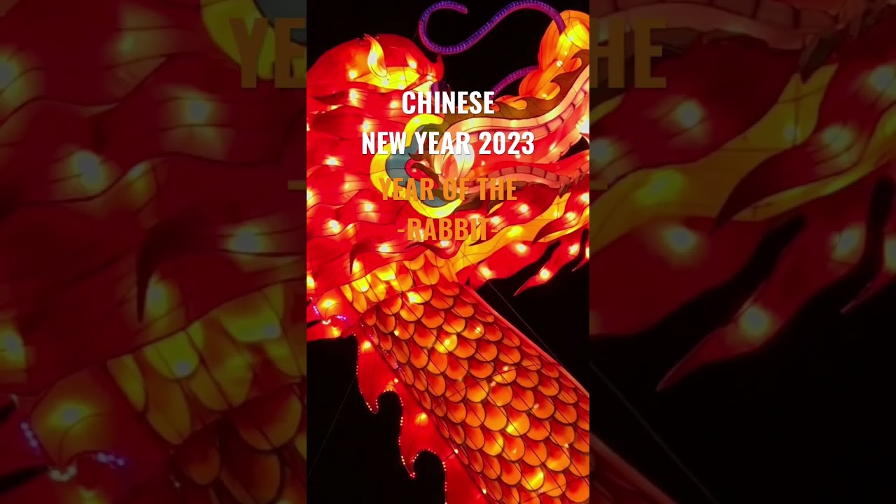 CHINESE NEW YEAR 2023 - year of the rabbit - 兔子 - 2023 年新年