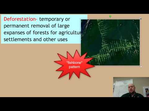 APES Forest Threats and Management