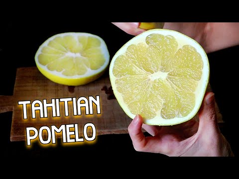 Tahitian Pomelo - Tasting a very special citrus