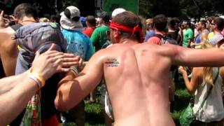 Lollapalooza 2010 - The Constellations Step Right Up