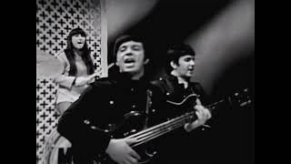 NEW * Sit Down I Think I Love You - The Mojo Men {Stereo} 1967