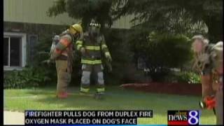 Cutlerville firefighter saves small dog