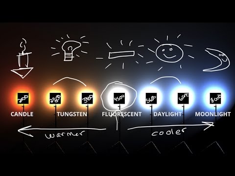 White Balance & Kelvin Color temp explained 💡