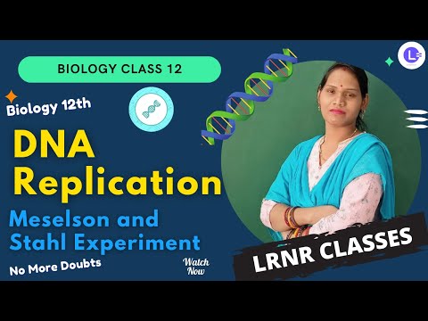 ​DNA Replication || Meselson and Stahl Experiment || Biology Class 12 || NEET || LRNR Classes