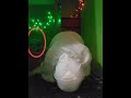 Hantu Kaget