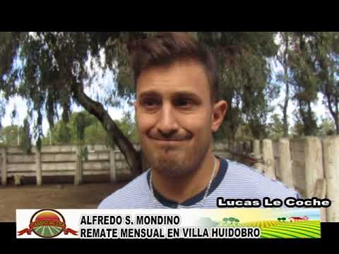 Francisco Garin y lucas le coche Remate Mensual en Villa Huidobro