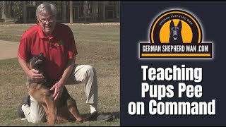 Teaching German Shepherd Puppies to pee on command with GSM