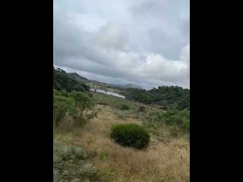 Laguna Verde, #Ventaquemada - #Boyacá; #Frailejones y Páramo.!! 🌎🏞️