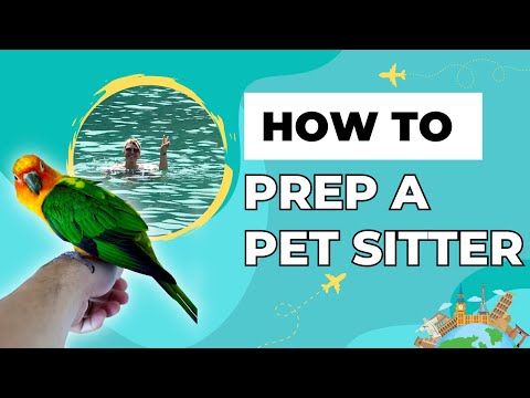 How to Prepare your Pet Sitter for your vacation! 🏝☀️