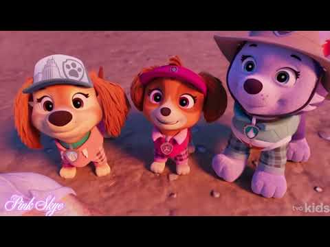 PAW Patrol | Skye Road Trip Rescue