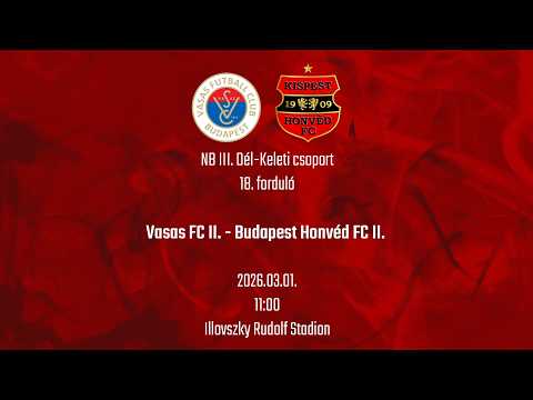 Vasas FC II. - Budapest Honvéd FC II., NBIII. Dél-Keleti csoport, 18. forduló