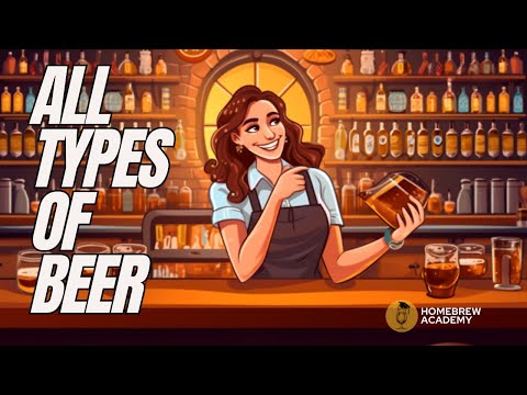 Different Types of Beer: Exploring the Brew-tiful World