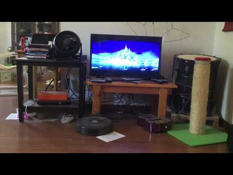 BBC/Greenlight Media/Discovery Channel/Disney Nature