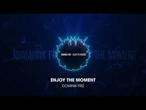 Dominik Friz - Enjoy the Moment
